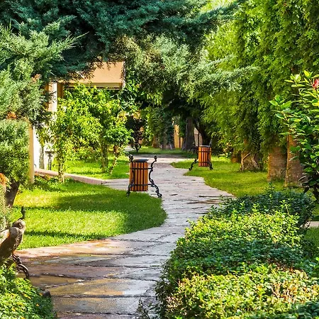 Saritas Only Family Concept 4*