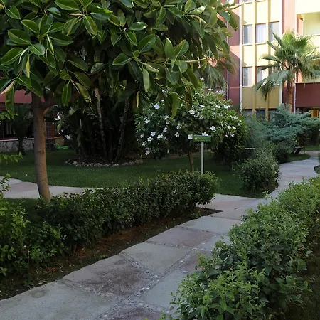 Saritas Only Family Concept