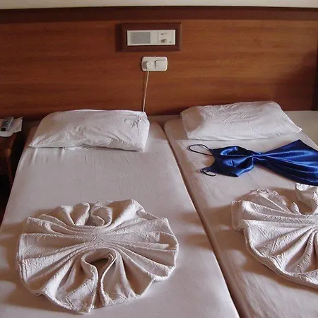 Saritas Only Family Concept